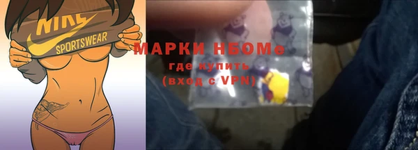 прущие грибы Алзамай