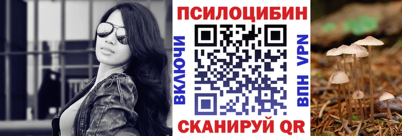 Галлюциногенные грибы Psilocybe  omg ONION  Магнитогорск 