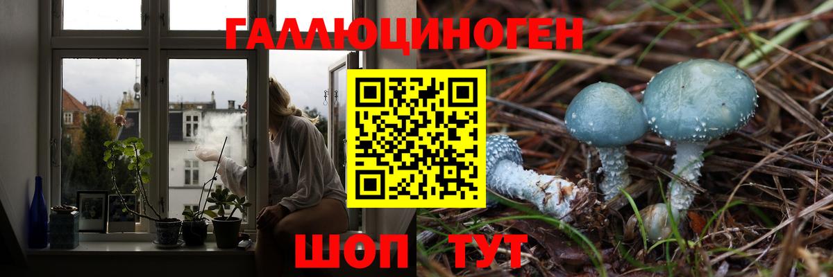 Магнитогорск  Галлюциногенные грибы MAGIC MUSHROOMS  Псилоцибиновые грибы Psilocybine cubensis  Вход с VPN 